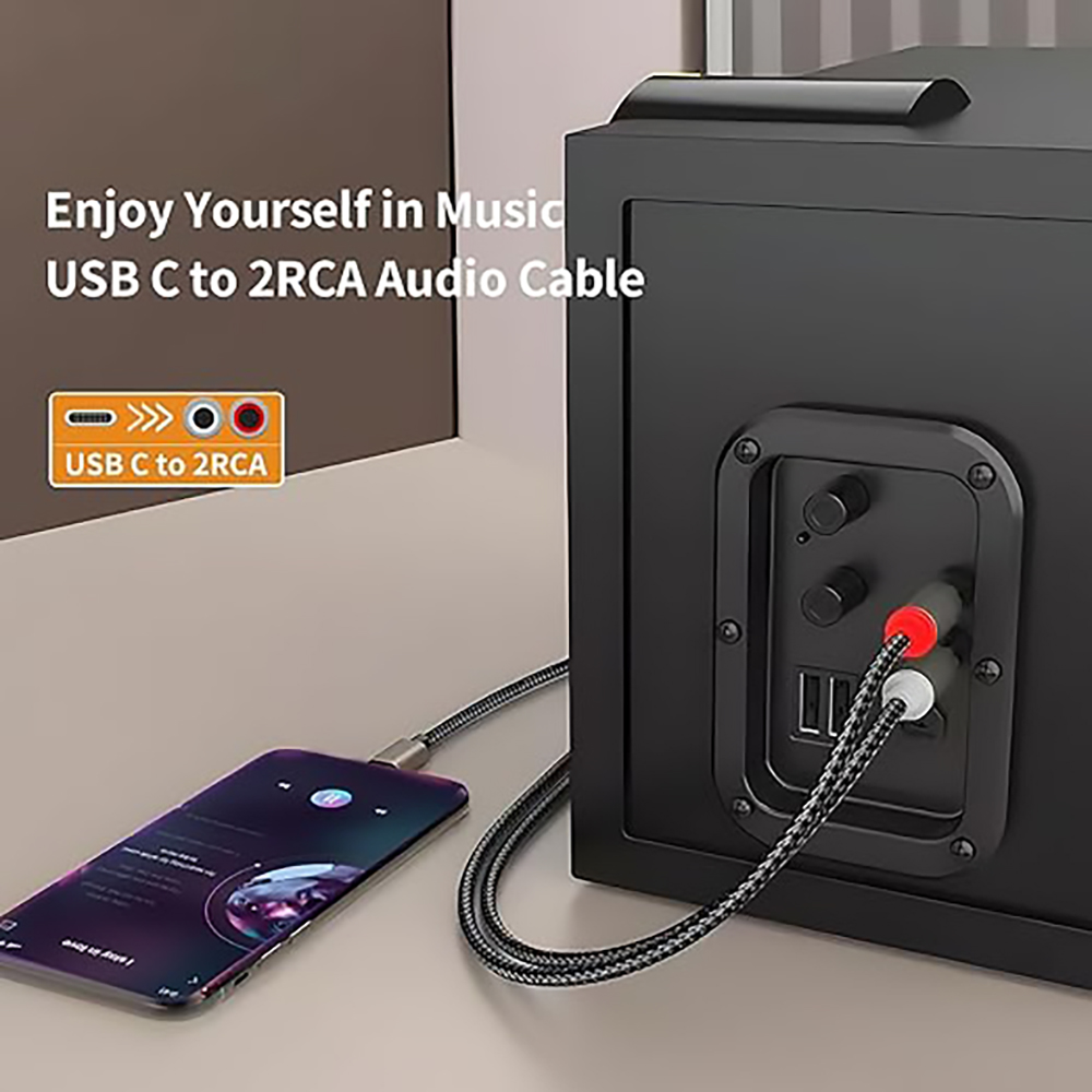 USB C to 2 RCA Audio Cable, Ty - Audio Home Cinema recension och pris